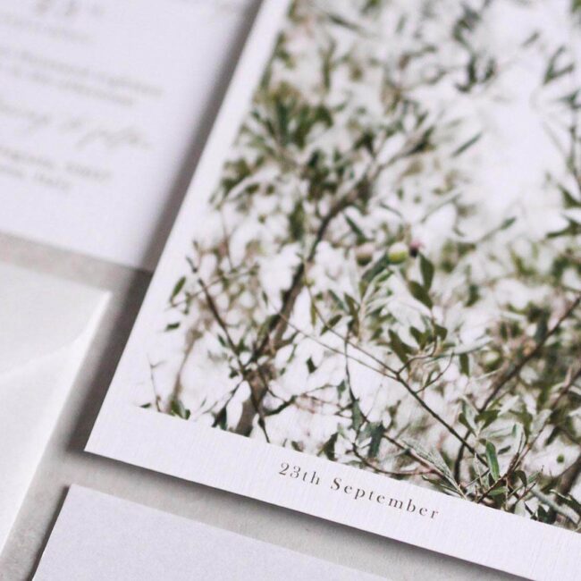 olive garden 11 - Papierove
